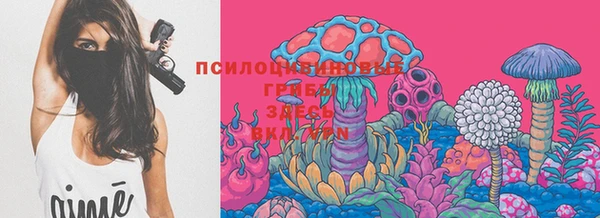 МДПВ Алзамай