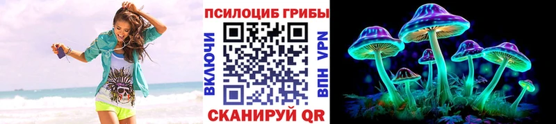 Псилоцибиновые грибы Cubensis  Качканар 